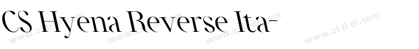 CS Hyena Reverse Ita字体转换 CS Hyena Reverse Ita字体转换
